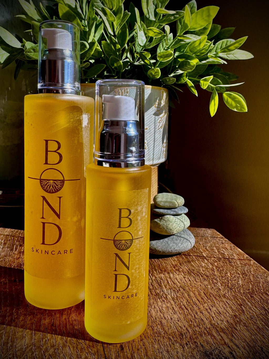 Two amber glass Bond Recovery Oil pump bottles, one large and one small, on a wooden table beside a leafy plant and stacked stones